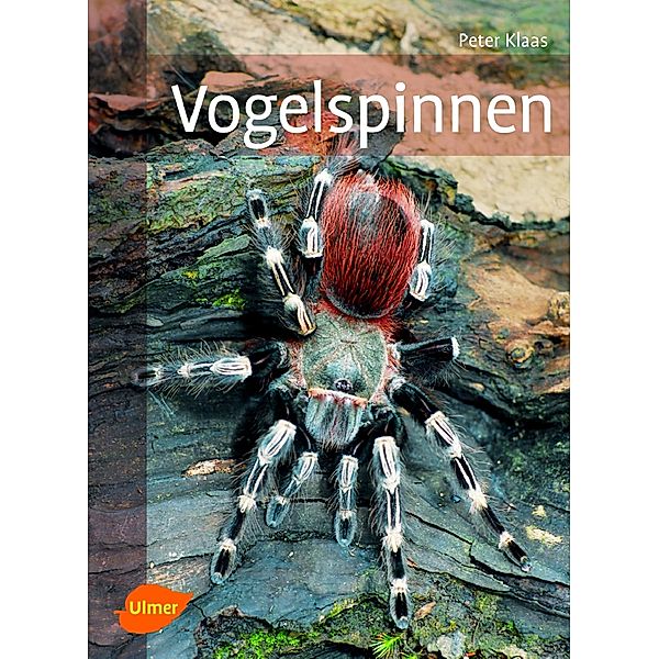 Vogelspinnen, Peter Klaas