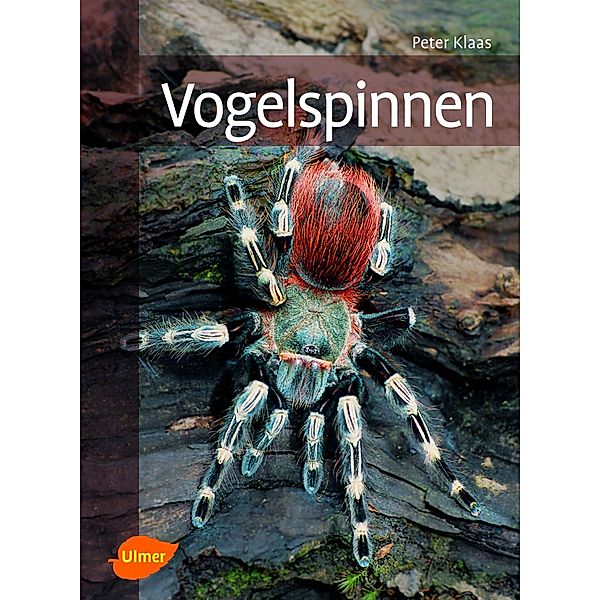 Vogelspinnen, Peter Klaas