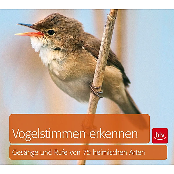 Vogelstimmen erkennen, Audio-CD, Andreas Schulze