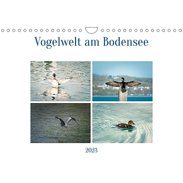 Vogelwelt am Bodensee 2023 (Wandkalender 2023 DIN A4 quer), Ralf kaufmann Fotos