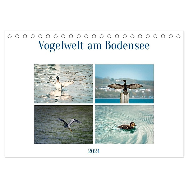 Vogelwelt am Bodensee 2024 (Tischkalender 2024 DIN A5 quer), CALVENDO Monatskalender, Ralf kaufmann Fotos