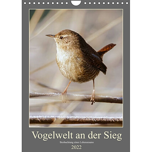 Vogelwelt an der Sieg (Wandkalender 2022 DIN A4 hoch), D. Irle