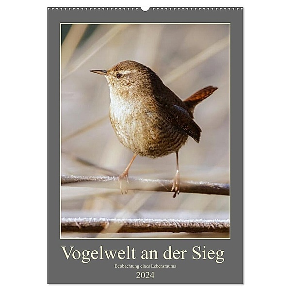 Vogelwelt an der Sieg (Wandkalender 2024 DIN A2 hoch), CALVENDO Monatskalender, D. Irle