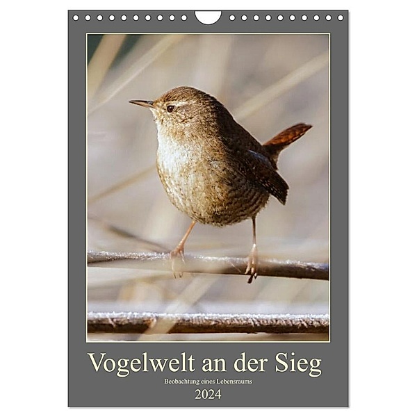 Vogelwelt an der Sieg (Wandkalender 2024 DIN A4 hoch), CALVENDO Monatskalender, D. Irle
