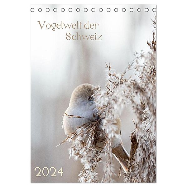 Vogelwelt der Schweiz (Tischkalender 2024 DIN A5 hoch), CALVENDO Monatskalender, Andrea Schüpbach