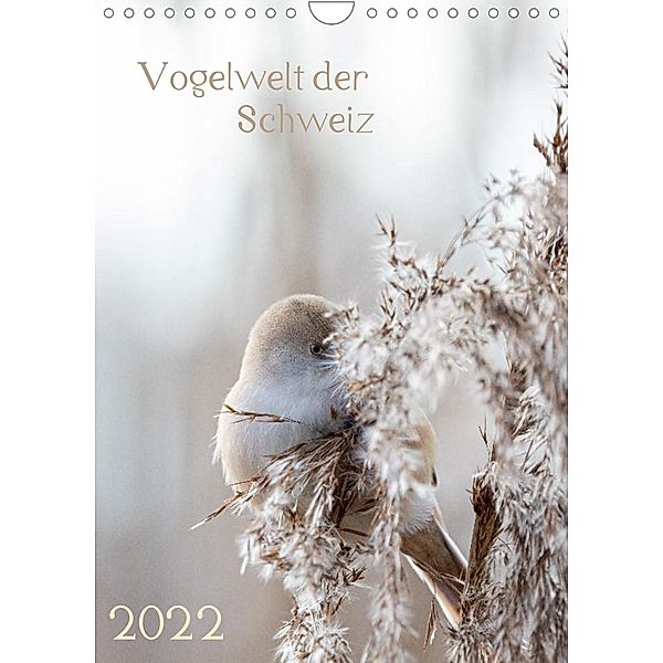 Vogelwelt der Schweiz (Wandkalender 2022 DIN A4 hoch), Andrea Schüpbach