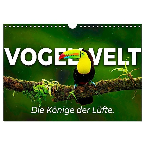 Vogelwelt - Die Könige der Lüfte. (Wandkalender 2024 DIN A4 quer), CALVENDO Monatskalender, Happy Monkey