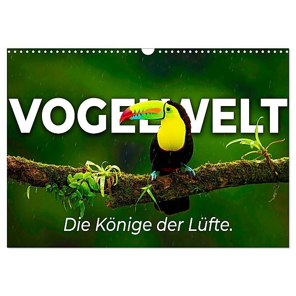 Vogelwelt - Die Könige der Lüfte. (Wandkalender 2024 DIN A3 quer), CALVENDO Monatskalender, Happy Monkey