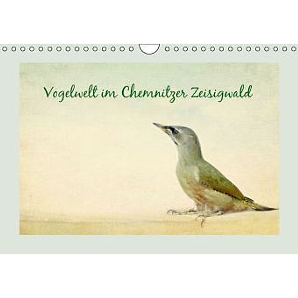 Vogelwelt im Chemnitzer Zeisigwald (Wandkalender 2016 DIN A4 quer), Heike Hultsch