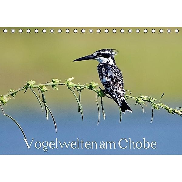 Vogelwelten am Chobe (Tischkalender 2017 DIN A5 quer), Gerald Wolf