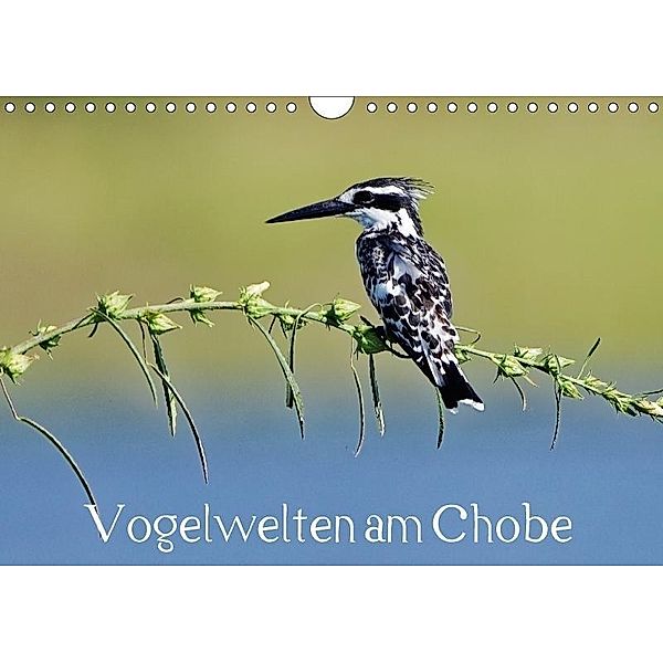 Vogelwelten am Chobe (Wandkalender 2017 DIN A4 quer), Gerald Wolf
