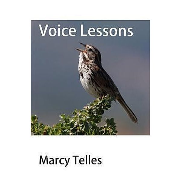 Voice Lessons / Marcy Telles, Marcy Telles