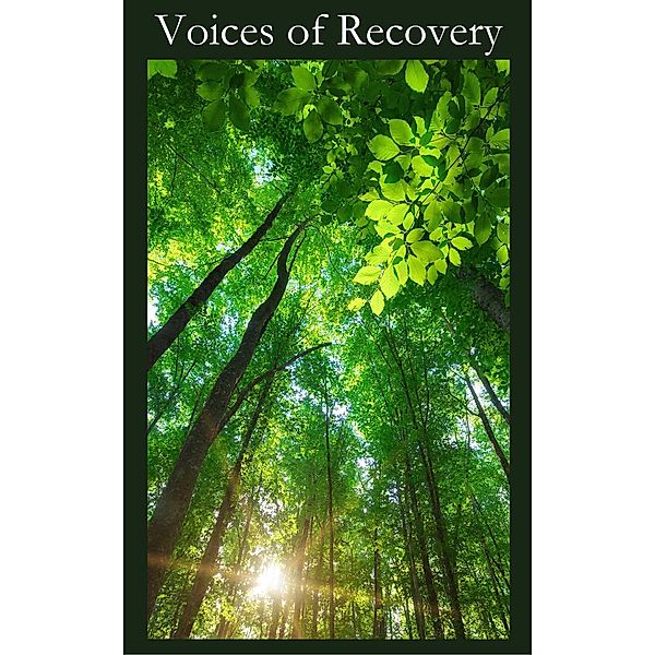 Voices of Recovery, Saa Fellowship