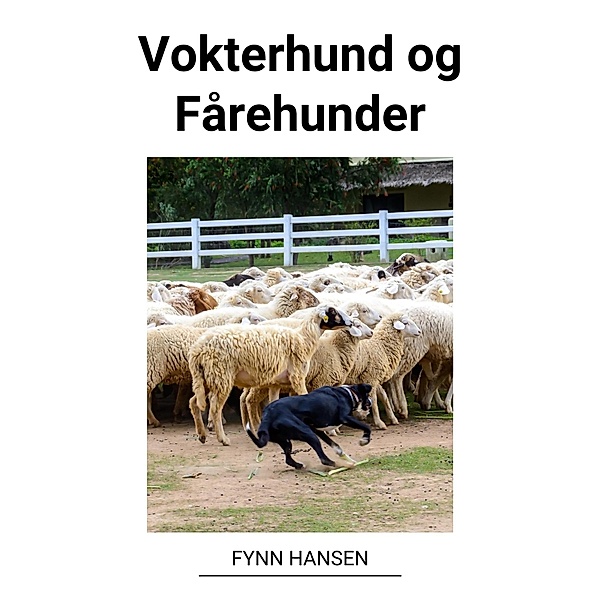 Vokterhund og Fårehunder, Fynn Hansen