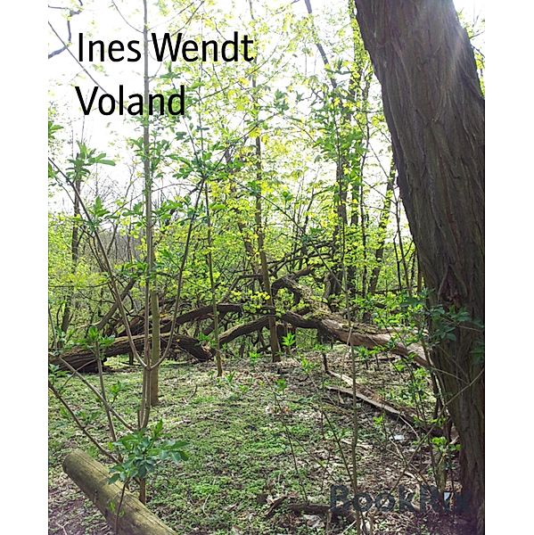 Voland, Ines Wendt