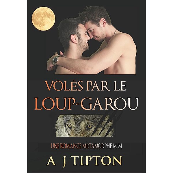 Volés par le Loup-Garou: Une Romance Métamorphe M-M (Loups-Garous de Singer Valley, #1) / Loups-Garous de Singer Valley, Aj Tipton