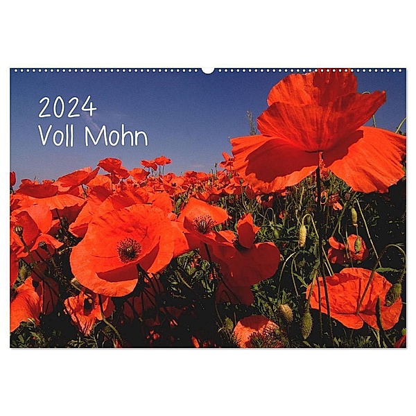 Voll Mohn (Wandkalender 2024 DIN A2 quer), CALVENDO Monatskalender, Michael Möller