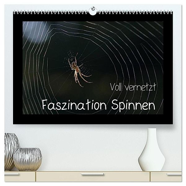 Voll vernetzt - Faszination Spinnen (hochwertiger Premium Wandkalender 2024 DIN A2 quer), Kunstdruck in Hochglanz, Sigrid Enkemeier