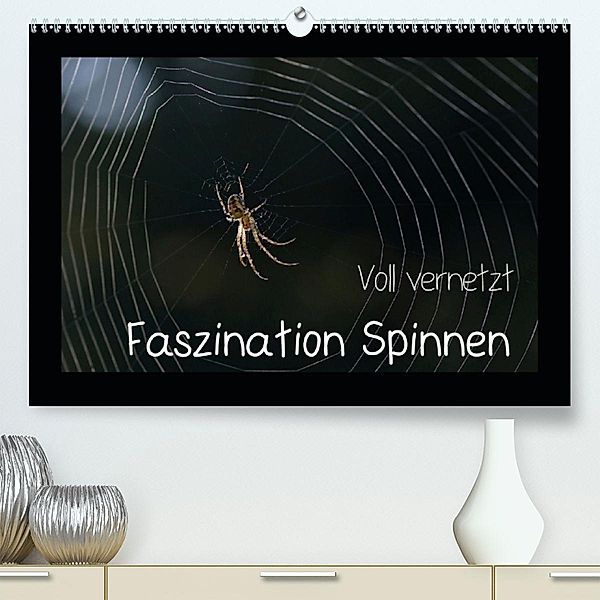 Voll vernetzt - Faszination Spinnen (Premium, hochwertiger DIN A2 Wandkalender 2020, Kunstdruck in Hochglanz), Sigrid Enkemeier