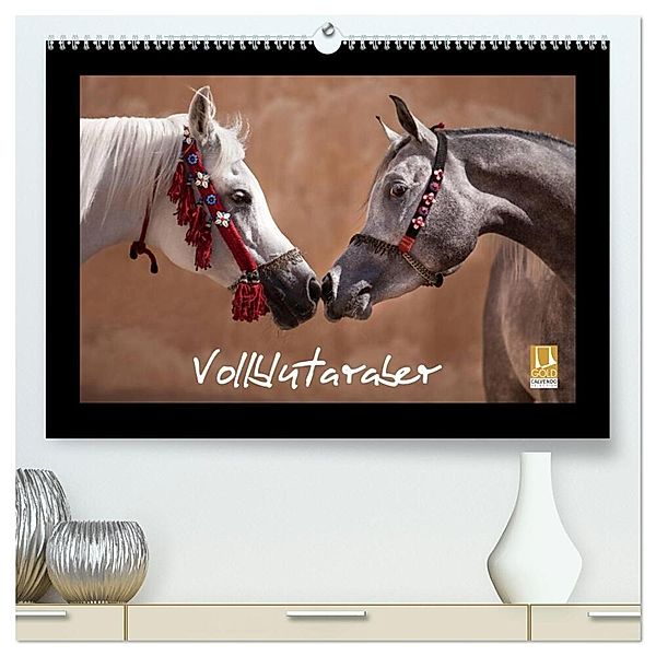 Vollblutaraber (hochwertiger Premium Wandkalender 2024 DIN A2 quer), Kunstdruck in Hochglanz, Francis Tilborghs