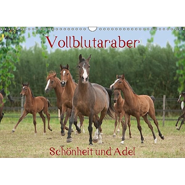 Vollblutaraber - Schönheit und Adel (Wandkalender 2018 DIN A3 quer) Dieser erfolgreiche Kalender wurde dieses Jahr mit g, Angela Münzel-Hashish