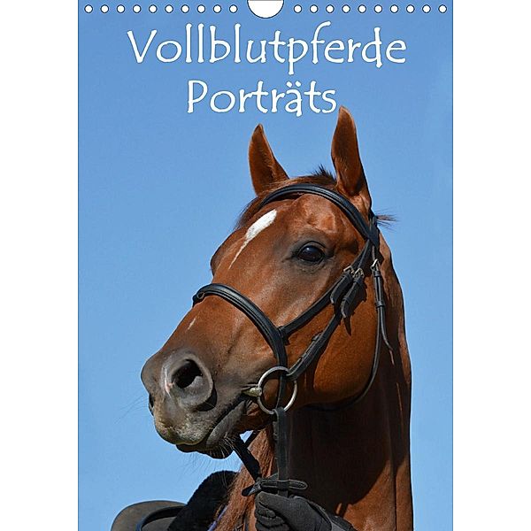 Vollblutpferde Porträts (Wandkalender 2021 DIN A4 hoch), Anke van Wyk - www.germanpix.net