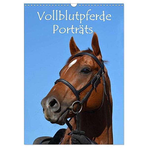 Vollblutpferde Porträts (Wandkalender 2024 DIN A3 hoch), CALVENDO Monatskalender, Anke van Wyk - www.germanpix.net