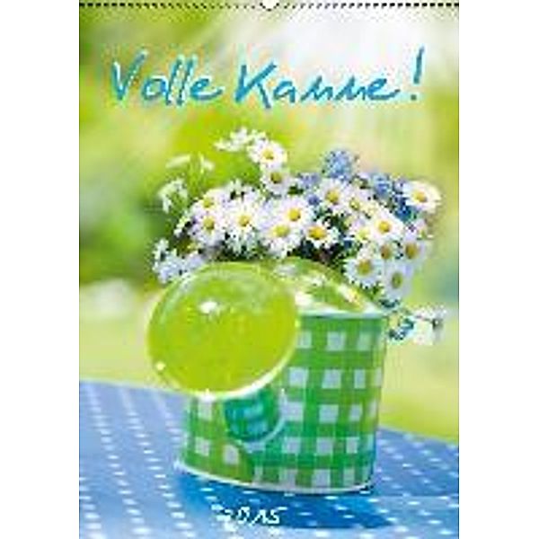Volle Kanne (Wandkalender 2015 DIN A2 hoch), Judith Dzierzawa