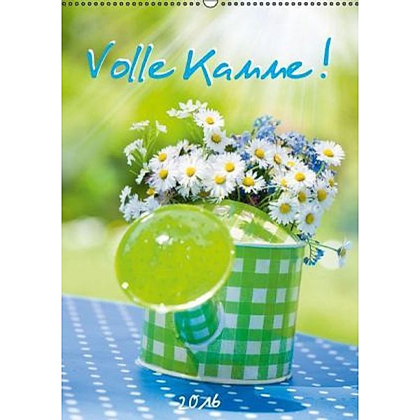 Volle Kanne (Wandkalender 2016 DIN A2 hoch), Judith Dzierzawa