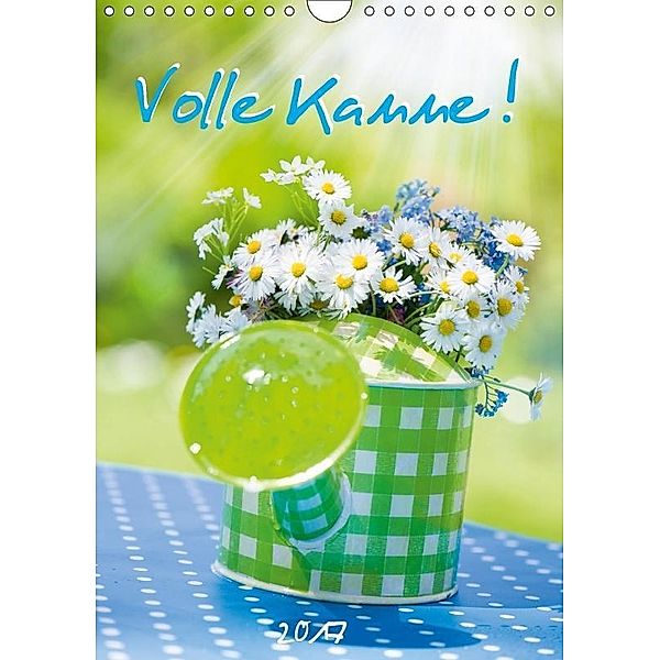 Volle Kanne (Wandkalender 2017 DIN A4 hoch), Judith Dzierzawa