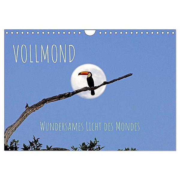Vollmond: Wundersames Licht des Mondes (Wandkalender 2025 DIN A4 quer), CALVENDO Monatskalender, Calvendo