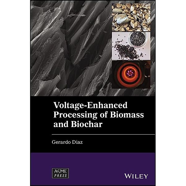 Voltage-Enhanced Processing of Biomass and Biochar, Gerardo Diaz
