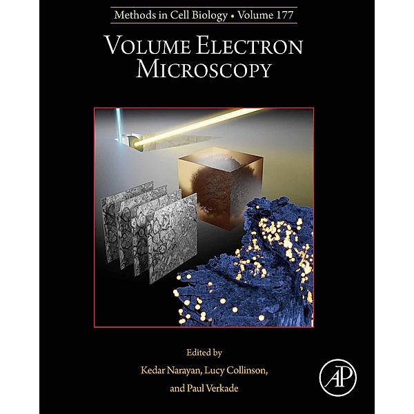 Volume Electron Microscopy