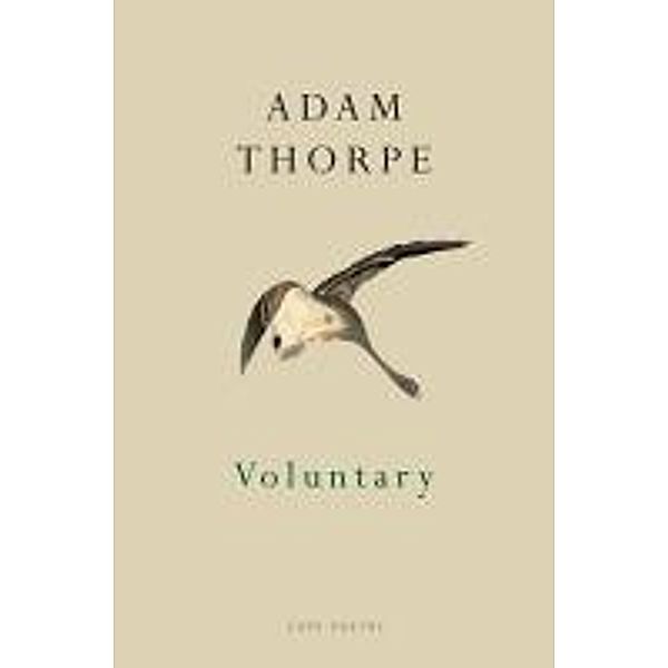 Voluntary, Adam Thorpe