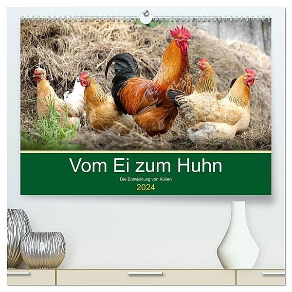 Vom Ei zum Huhn. Die Entwicklung von Küken (hochwertiger Premium Wandkalender 2024 DIN A2 quer), Kunstdruck in Hochglanz, Rose Hurley