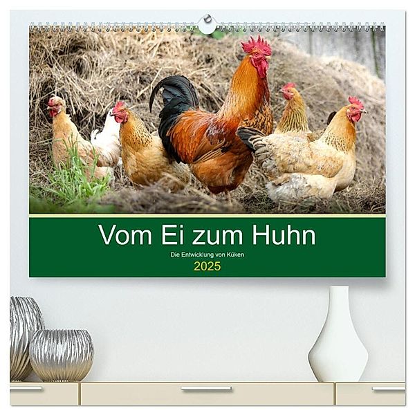 Vom Ei zum Huhn. Die Entwicklung von Küken (hochwertiger Premium Wandkalender 2025 DIN A2 quer), Kunstdruck in Hochglanz, Calvendo, Rose Hurley