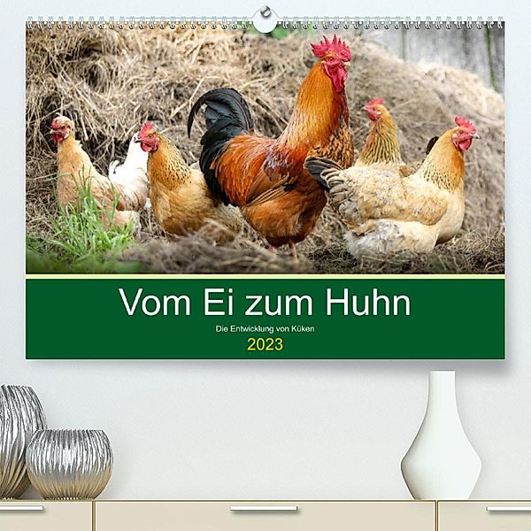 Vom Ei zum Huhn. Die Entwicklung von Küken (Premium, hochwertiger DIN A2 Wandkalender 2023, Kunstdruck in Hochglanz), Rose Hurley