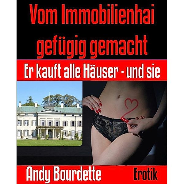 Vom Immobilienhai gefügig gemacht, Andy Bourdette