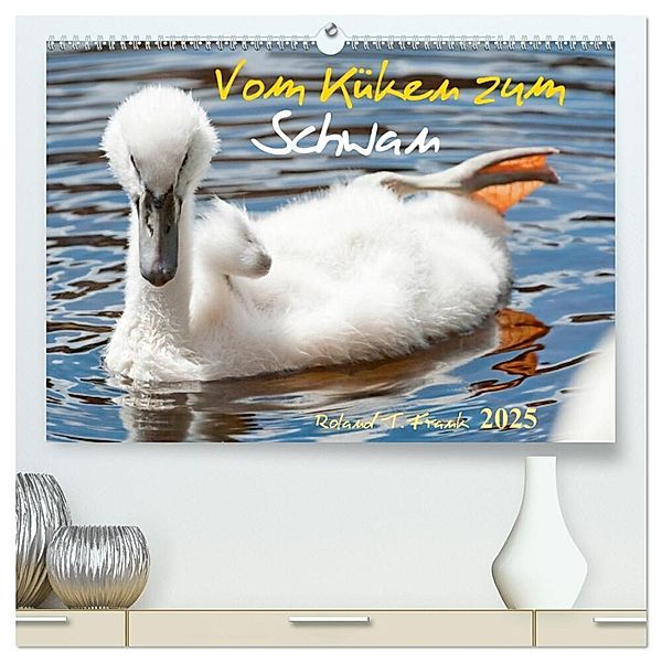 Vom Küken zum Schwan (hochwertiger Premium Wandkalender 2025 DIN A2 quer), Kunstdruck in Hochglanz, Calvendo, Roland T. Frank