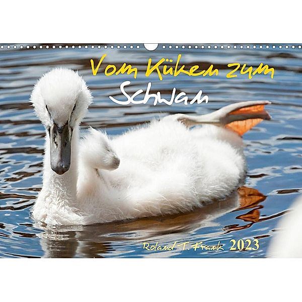 Vom Küken zum SchwanAT-Version  (Wandkalender 2023 DIN A3 quer), Roland T. Frank