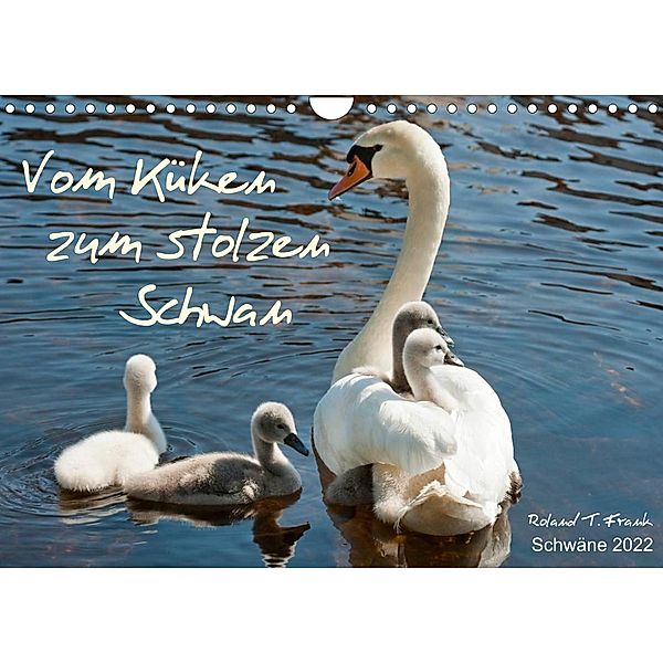 Vom Küken zum stolzen Schwan (Wandkalender 2022 DIN A4 quer), Roland T. Frank