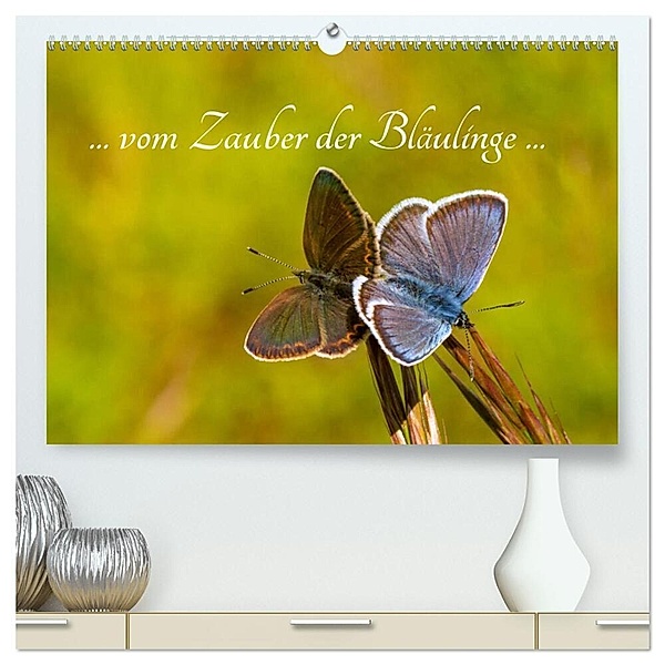 ... vom Zauber der Bläulinge ... (hochwertiger Premium Wandkalender 2024 DIN A2 quer), Kunstdruck in Hochglanz, Frances Kron (la Frippi)