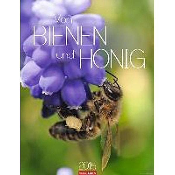 Von Bienen und Honig 2015