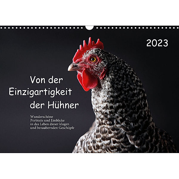 Von der Einzigartigkeit der Hühner 2023 (Wandkalender 2023 DIN A3 quer), Birte Peters