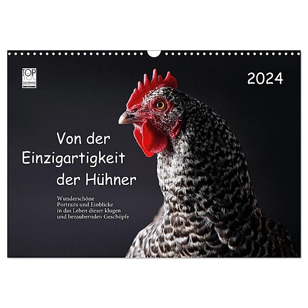 Von der Einzigartigkeit der Hühner 2024 (Wandkalender 2024 DIN A3 quer), CALVENDO Monatskalender, Birte Peters