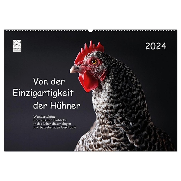Von der Einzigartigkeit der Hühner 2024 (Wandkalender 2024 DIN A2 quer), CALVENDO Monatskalender, Birte Peters