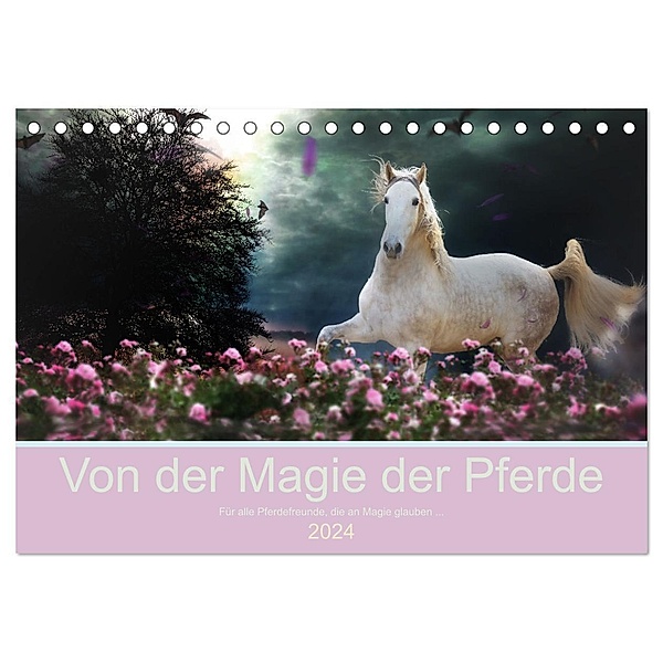 Von der Magie der Pferde (Tischkalender 2024 DIN A5 quer), CALVENDO Monatskalender, Petra Eckerl Tierfotografie