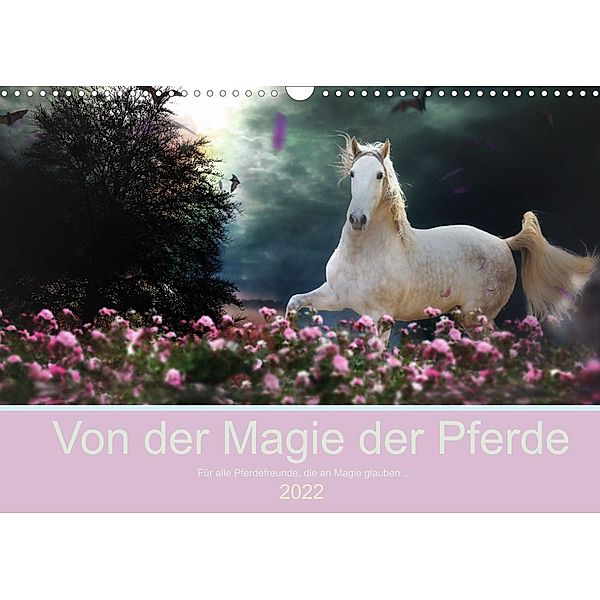 Von der Magie der Pferde (Wandkalender 2022 DIN A3 quer), Petra Eckerl Tierfotografie