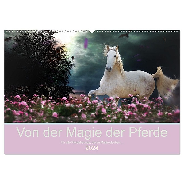 Von der Magie der Pferde (Wandkalender 2024 DIN A2 quer), CALVENDO Monatskalender, Petra Eckerl Tierfotografie