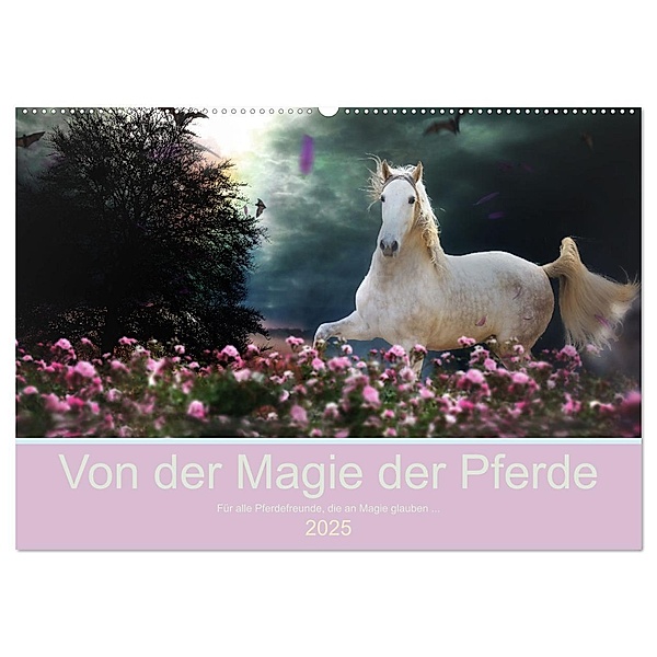 Von der Magie der Pferde (Wandkalender 2025 DIN A2 quer), CALVENDO Monatskalender, Calvendo, Petra Eckerl Tierfotografie